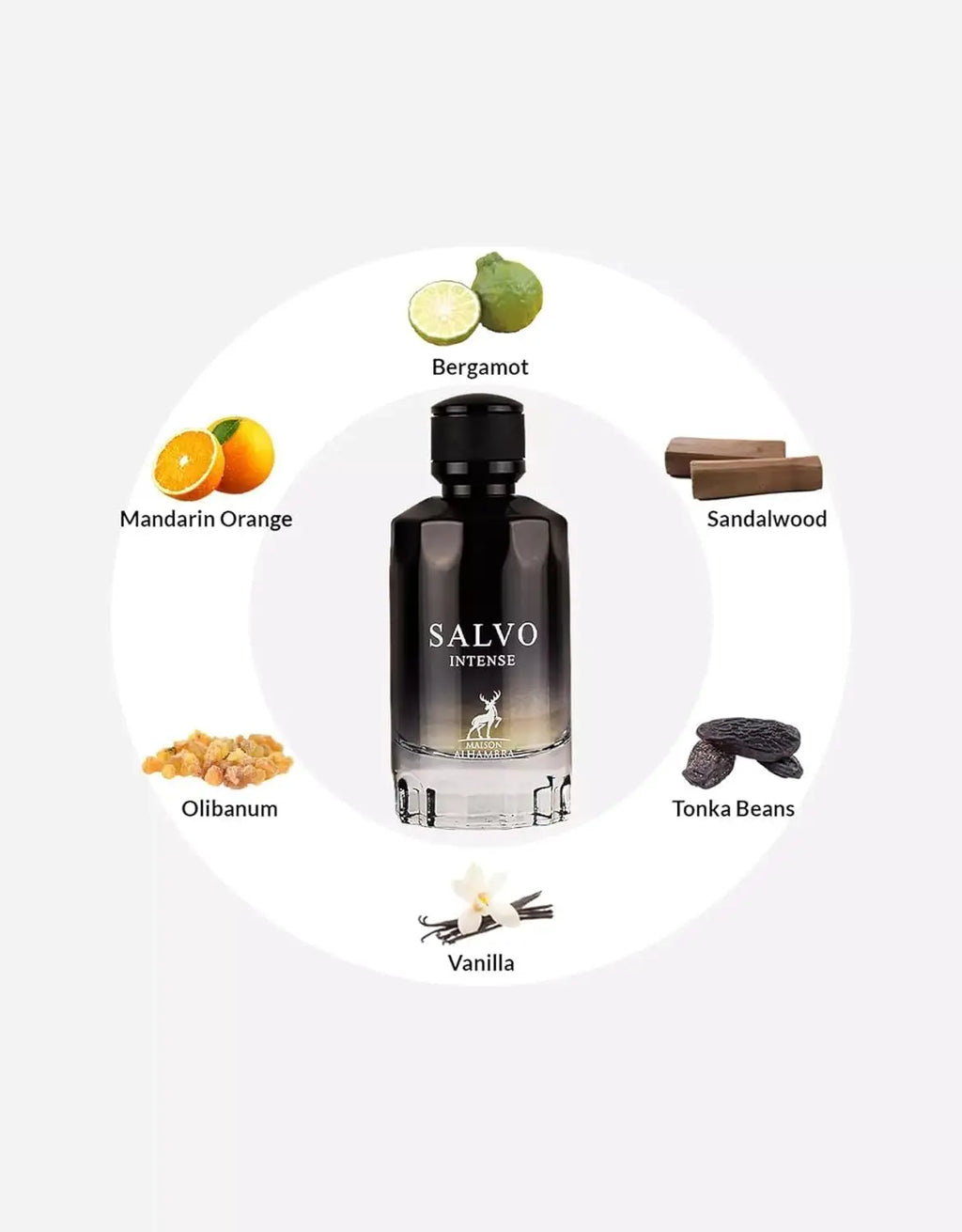 Salvo intense edp 100 ml - maison alhambra - elegant and long-lasting perfume for men
