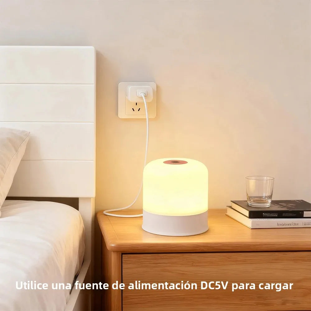 LED Touch Switch Night Lamp Remote Control Rechargeable Three Colors Dimmable Light Timing Bedside Sleeping Reading Table Lights