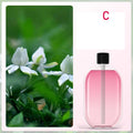 Automatic Fragrance Diffuser, USB Powered Essential Oil Diffuser with Spraying & Light, Home Fragrance for Living Room, Bedroom