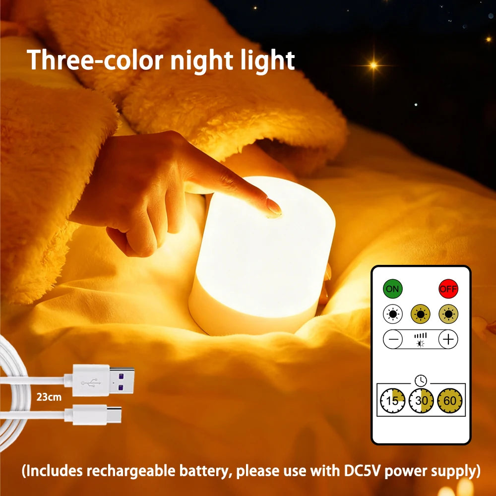 LED Touch Switch Night Lamp Remote Control Rechargeable Three Colors Dimmable Light Timing Bedside Sleeping Reading Table Lights